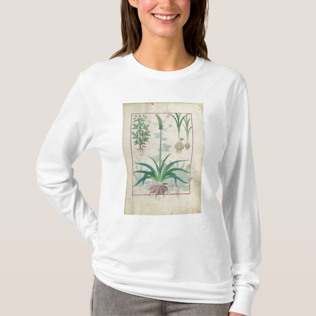 Camiseta Ajo y otras plantas (Anverso)