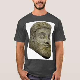 Camiseta al art. 1