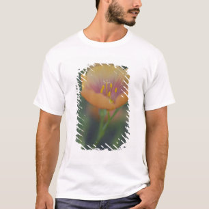 Camiseta Al sur de Devine Texas a lo largo de la Interestat