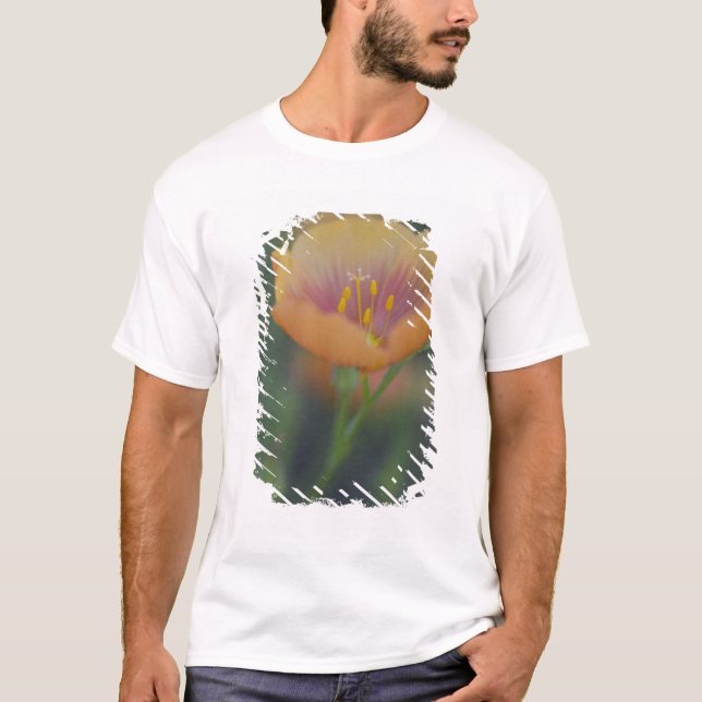 Camiseta Al sur de Devine Texas a lo largo de la Interestat (Anverso)