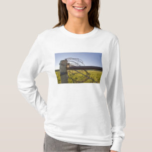 Camiseta Alambre de púas enrollado en la hilera de cercas c