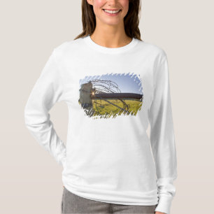 Camiseta Alambre de púas enrollado en la hilera de cercas c