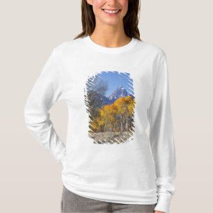Camiseta Álamos con la cordillera Teton