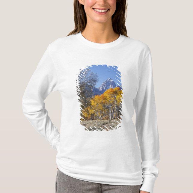 Camiseta Álamos con la cordillera Teton (Anverso)