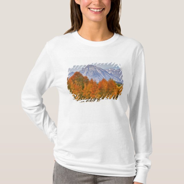 Camiseta Álamos con la cordillera Teton (Anverso)