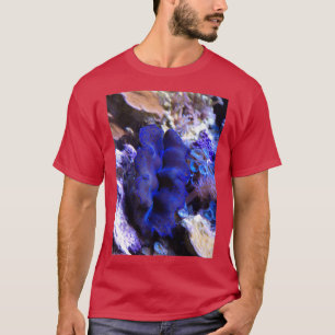 Camiseta Alarma de tridacna crocea