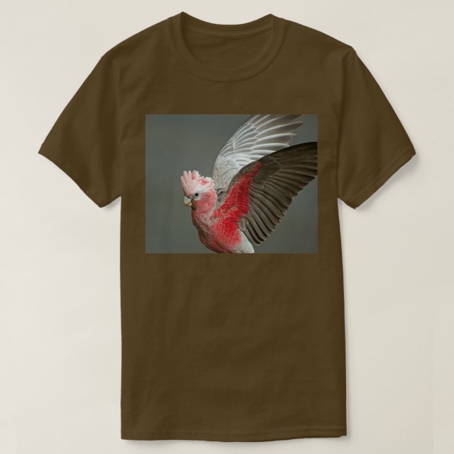 Camiseta Alas 2 (Diseño del anverso)