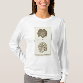 Camiseta Alaska
