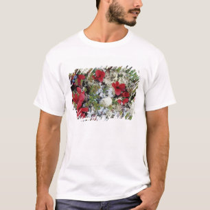 Camiseta Alaska, Parque Nacional Denali, la tundra ártica e