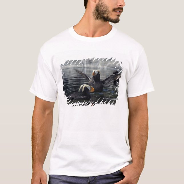 Camiseta Alaska Tufted puffins (Anverso)