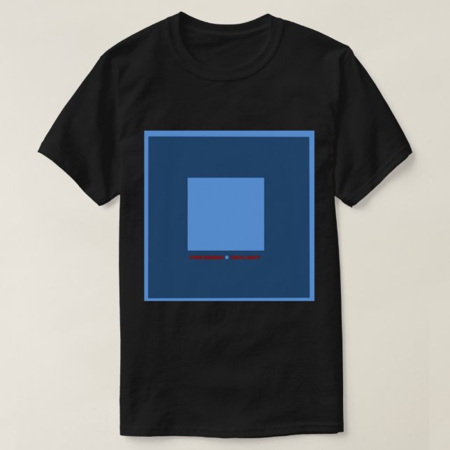 Camiseta álbum Pinegrove Skylight Classic T-Shirt (Diseño del anverso)
