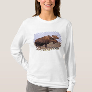 Camiseta alce, Alces alces, toro con grandes cuernos