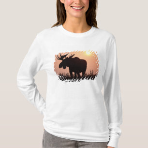 Camiseta alce, Alces alces, toro con grandes cuernos,