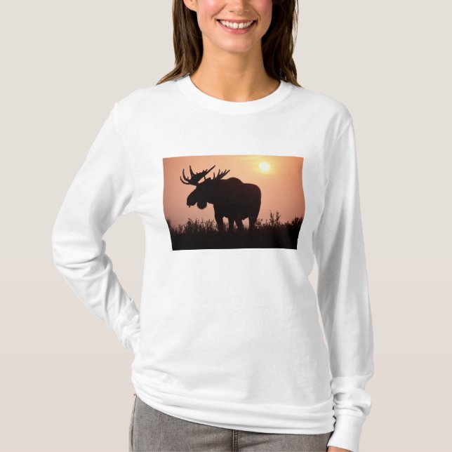 Camiseta alce, Alces alces, toro con grandes cuernos, (Anverso)