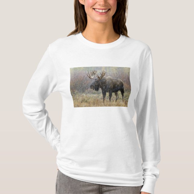 Camiseta Alce de toro en tormenta de nieve con álamos (Anverso)
