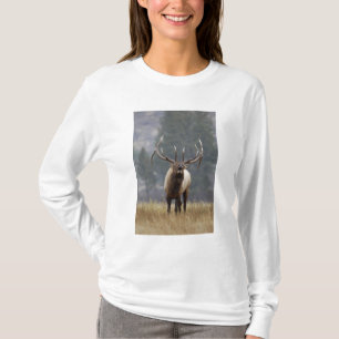 Camiseta Alce macho bramando, Yellowstone NP, Wyoming 2