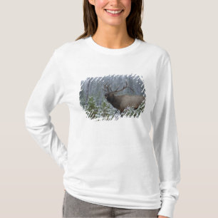 Camiseta Alce macho en la nieve llamando, bramando, Yellows