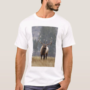 Camiseta Alce macho haciendo sonar el clarín, Yellowstone N