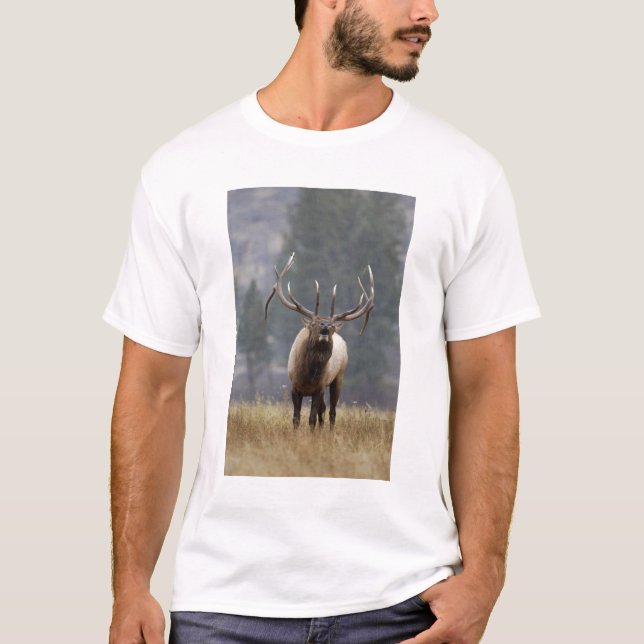 Camiseta Alce macho haciendo sonar el clarín, Yellowstone N (Anverso)
