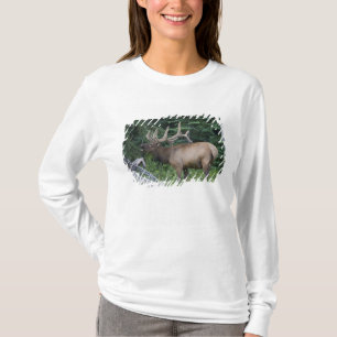Camiseta Alces bramando en el Parque Nacional Banff, Canadá