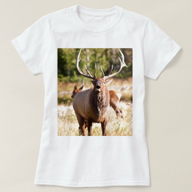 Camiseta Alces Bugling (Diseño del anverso)