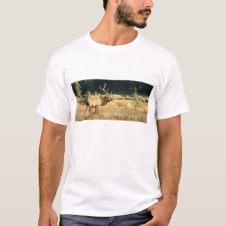 Camiseta Alces de Bull en parque de la montaña rocosa
