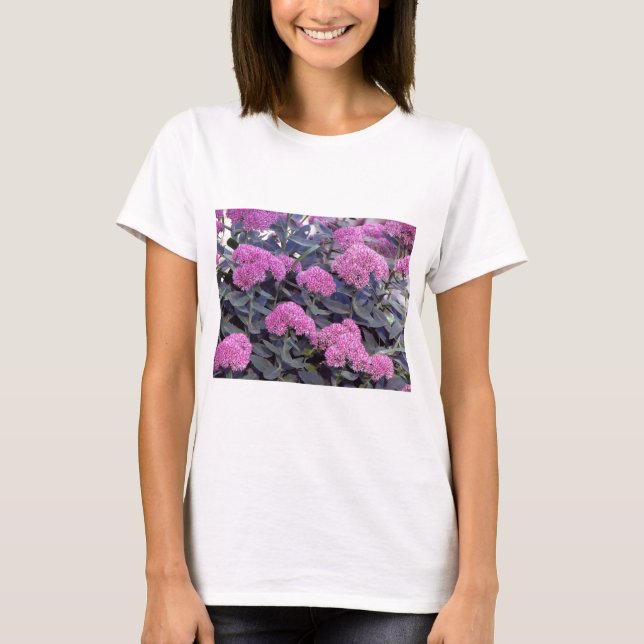 Camiseta Alegría del otoño de Sedum (Anverso)