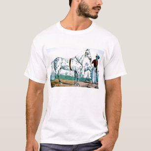 Camiseta Alejandro el caballo, Estados Unidos 1840
