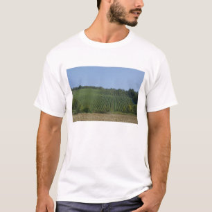 Camiseta Alemania, Franconia, Rothenburg. Vista a lo largo
