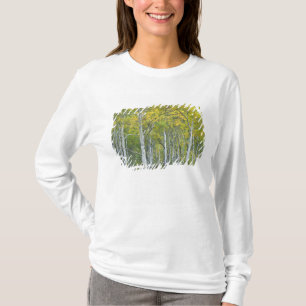 Camiseta Alemendros de otoño en el paso McClure en Colorado