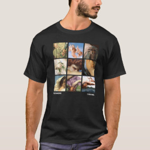 Camiseta Alexandre Cabanel Famoso Cuadrícula de Pinturas
