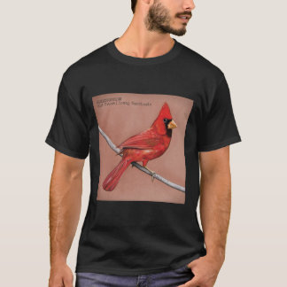 Camiseta Alexisonfire es un posthardcore canadiense1583png1