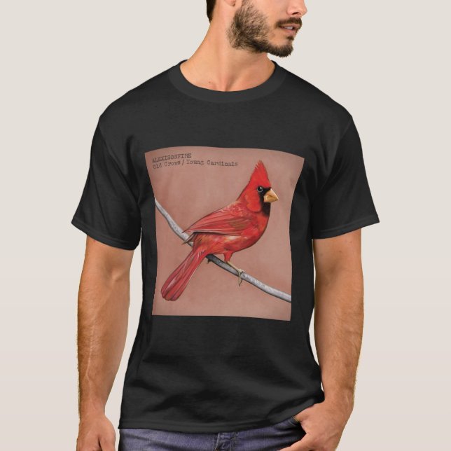 Camiseta Alexisonfire es un posthardcore canadiense1583png1 (Anverso)