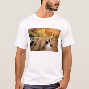 Camiseta Algodoneros en Otoño, Coyote Gulch, Glen