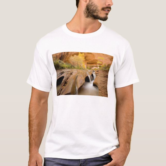 Camiseta Algodoneros en Otoño, Coyote Gulch, Glen (Anverso)