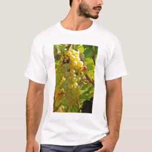 Camiseta Algunas Chasselas en la viña - plantadas hace much