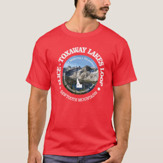 Camiseta AliceToxaway Lkes Loop OBP sobredimensionado