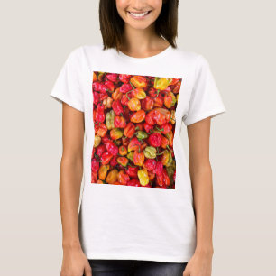 Camiseta Alimentos de bonito