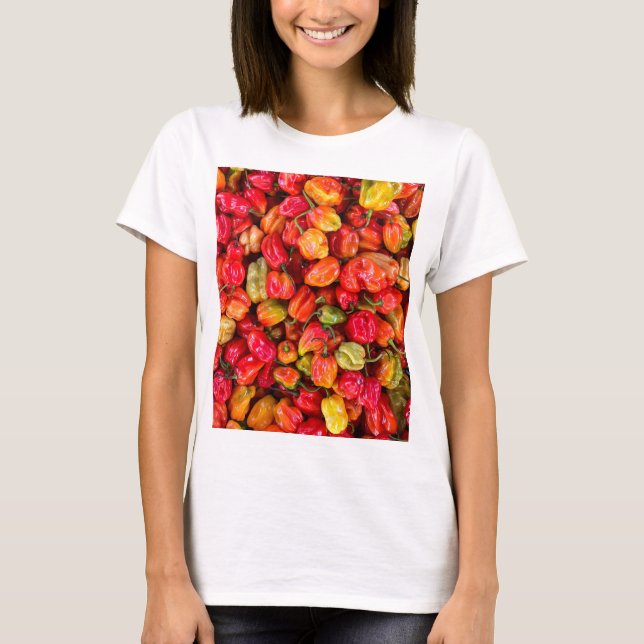 Camiseta Alimentos de bonito (Anverso)
