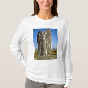 Camiseta Alivio que representa un alcohol de cuatro alas