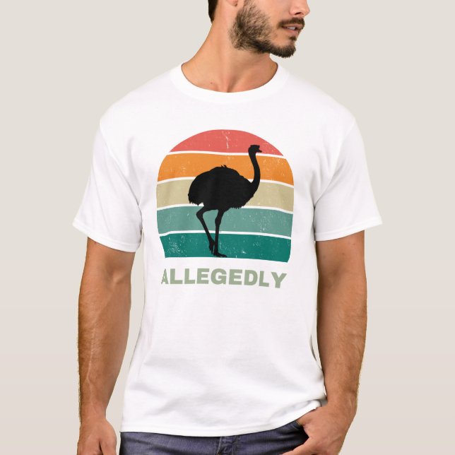 Camiseta Allegedly  (Anverso)