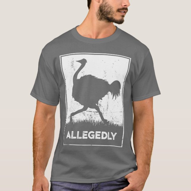 Camiseta Allegedly Ostrich Vintage Retro boy (Anverso)