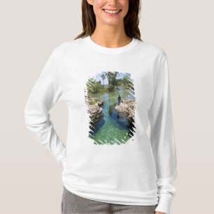 Camiseta Alligator Hole, Black River Town, Jamaica