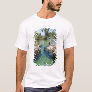 Camiseta Alligator Hole, Black River Town, Jamaica