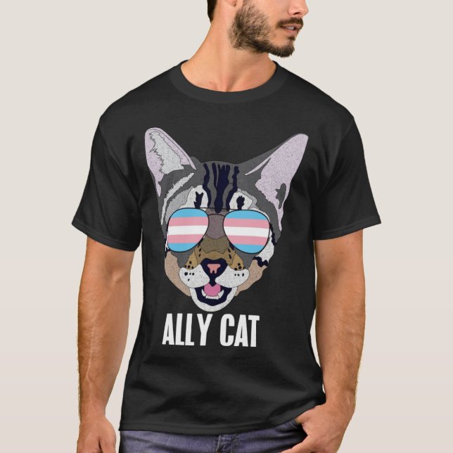Camiseta Ally Cat Funny Cat Trans Pride Pullover Hoodie (Anverso)