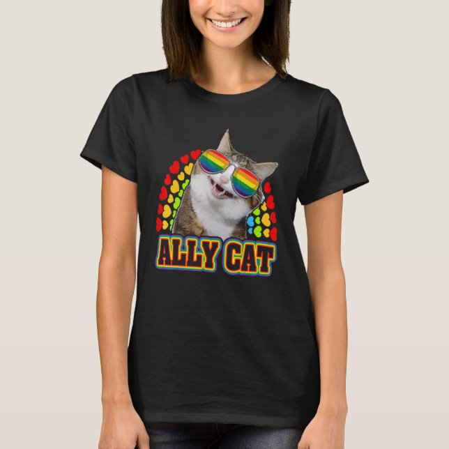 Camiseta Ally Cat Lgbt Gay Rainbow Pride Bandera Niños Homb (Anverso)