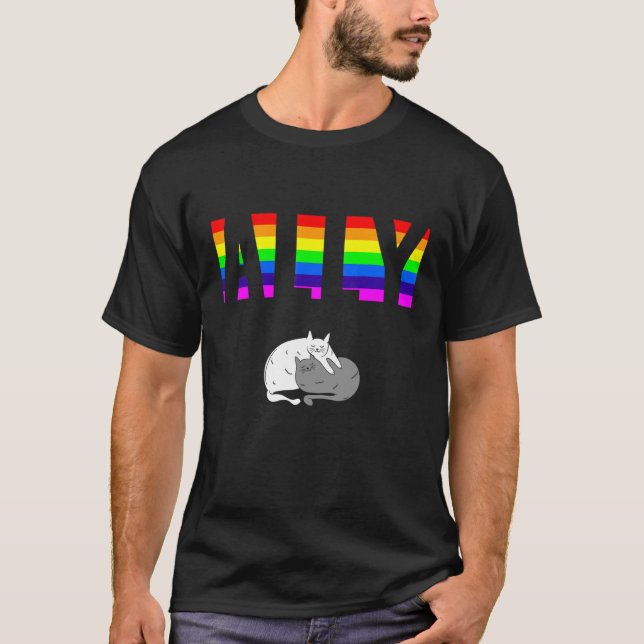 Camiseta Ally Orly LGBTQ Equality Rainbow Lesbian Tran (Anverso)