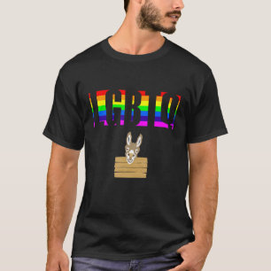 Camiseta Ally Orly LGBTQ Equality Rainbow Lesbian Tran