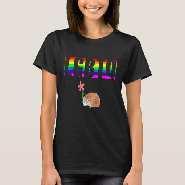 Camiseta Ally Orly LGBTQ Equality Rainbow Lesbian Tran (Anverso)
