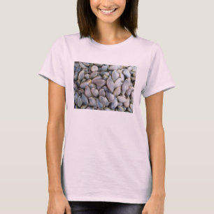 Camiseta Almeja Venus [หอยลาย]